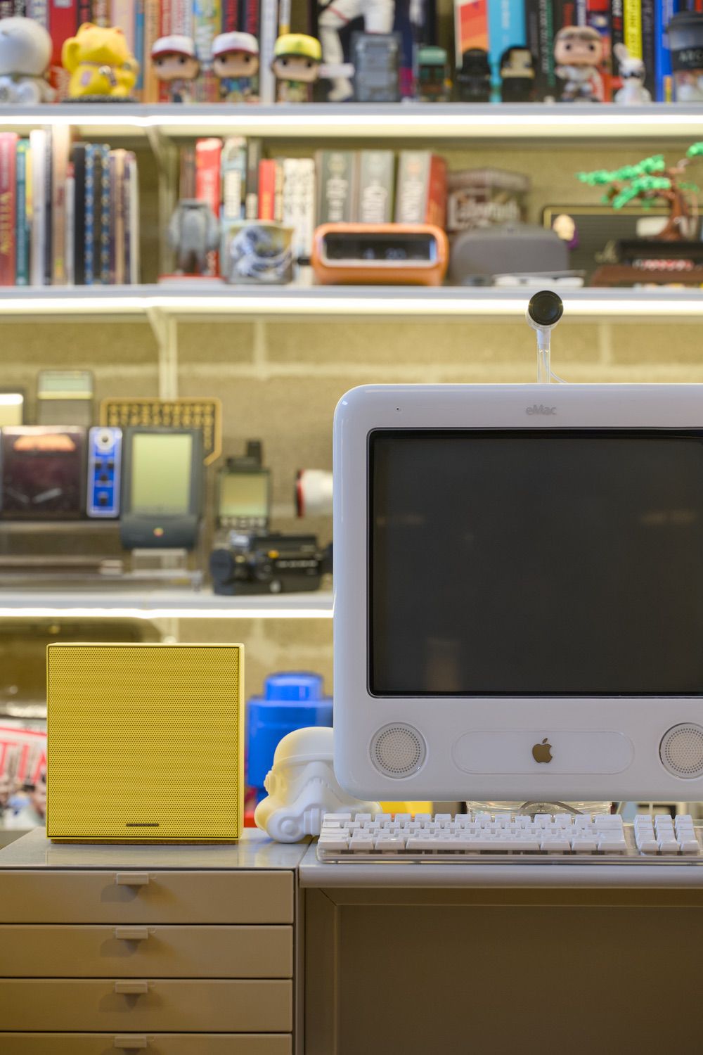 Collezione Coro Garvan x ITOMI