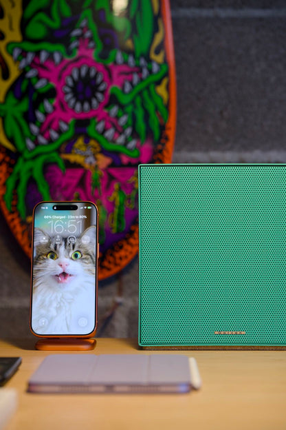 Collezione Coro Garvan x ITOMI