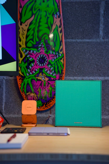 Collezione Coro Garvan x ITOMI